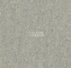 Линолеум Forbo Marmoleum Marbled Terra 5802-580235 alpine mist фото 1 | FLOORDEALER